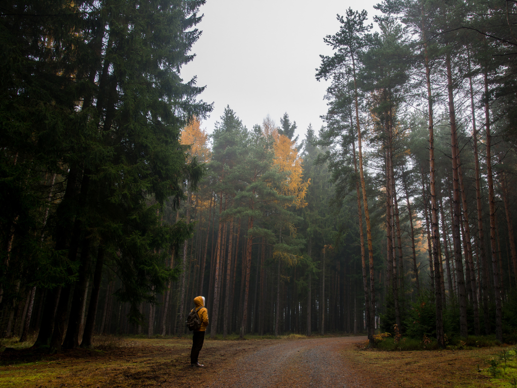 Journey Towards Selflessness: Conquering the Inner Obstacles
